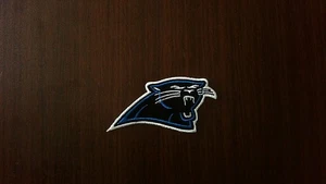 Iron-On Patch - Carolina Panthers NFL Logo - Picture 1 of 3