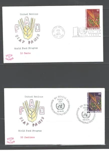 UN WORLD FOOD PROGRAM, 1971. DAVID 'C' CACHET 2FDCs. NY & GENEVA Cds. Scanned - Picture 1 of 1