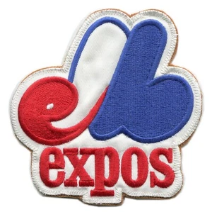 LOTE PEDRO MARTINEZ: 15 COMO NUEVAS TODAS LAS DIFERENTES TARJETAS SOLO EXPOSICIONES - Imagen 1 de 1