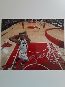Derrick Rose Autographed 8x10 Action Photo  With the D. Rose Official Hologram