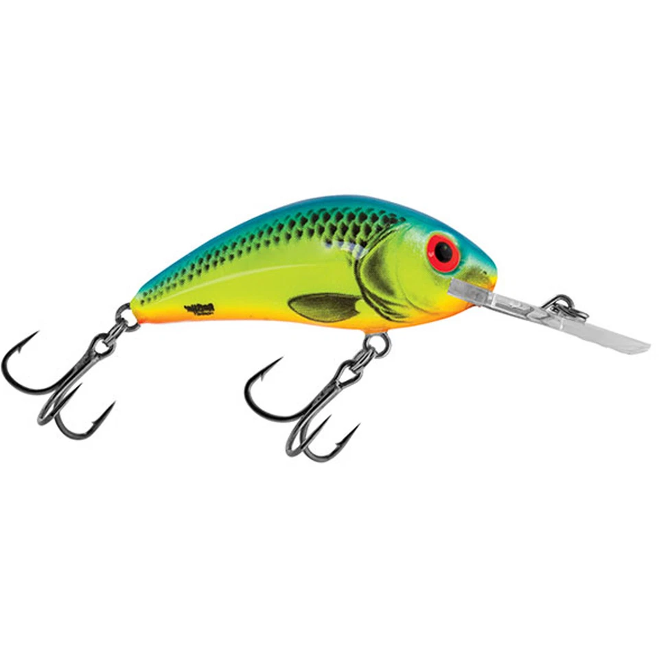 Salmo Rattlin Hornet Floating 3,5/4,5/5,5/6,5cm Wobbler Angeln Raubfisch - Bild 1 von 1