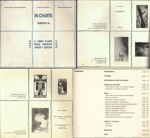 IL LIBRO D'ARTE NELLE MARCHE-ARTISTI EDITORI-1904-1995-CENTINAIA DI ARTISTI-1996 - Imagen 1 de 1