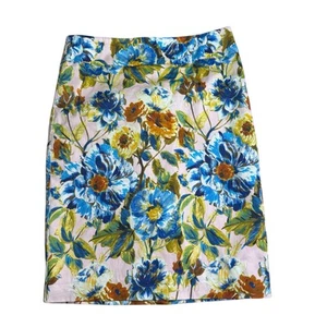 Falda Floral Review Talla 6 Rosa Azul Estampado Audaz Forrada Jardín Fiesta Retro - Imagen 1 de 8