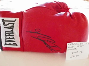 ANDREW GOLOTA -BOXER AUTHENTIC AUTOGRAPHED EVERLAST BOXING GLOVE 6-10-16 - Picture 1 of 4
