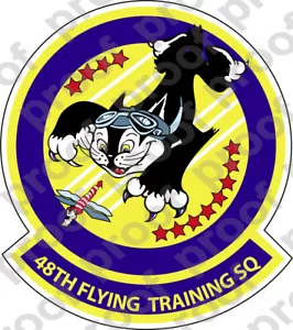 Pegatina del 48o Escuadrón de Entrenamiento de Vuelo de la USAF - Imagen 1 de 1