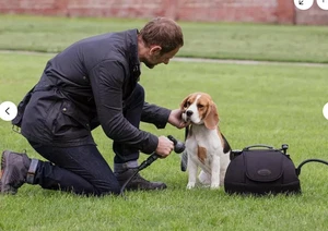 New Genuine Jaguar Branded  Portable Pet Dog Bike Wet Suit Wash Rinse System - Picture 1 of 11