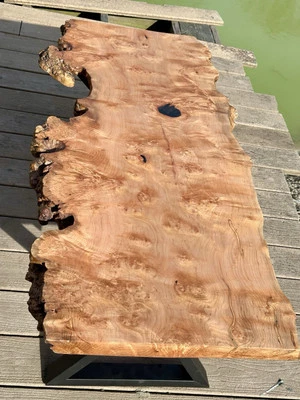 X002 Custom Maple Burl Coffee Table Loaded With Figure 49x23x18 Black Metal Legs - Image 1 of 4