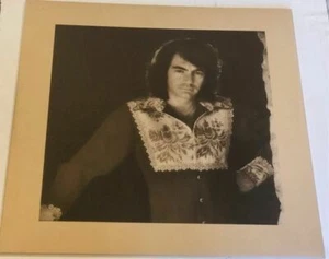 Neil Diamond – Moods Record Insert ONLY- No Record - Bild 1 von 2