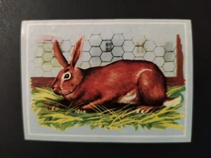 FIGURINA VITA E COLORE ED. MODERNA 1969 n. 170 OTTIMA DA RECUPERO - Imagen 1 de 2