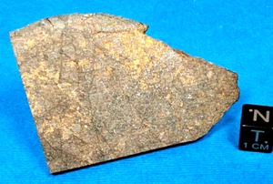 25,7 GRAMM SCHEIBENWAGENHÜGEL L-6 CHONDRIT METEORIT - Bild 1 von 2