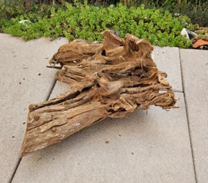 Mangroven Wurzel M 29x15x26cm - Holz für Welse, Fische, Aquarium, Terrarium - Bild 1 von 1