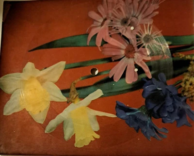 Flexi Mud - Tiger Feet (1978)  - Bild 1 von 2