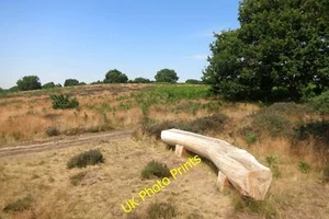 Photo 6x4 Log Bench, Snape Warren Gromford c2015 - Picture 1 of 1