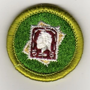 Stamp Collecting Merit Badge Type H Plastic Back (1972-2002) Mint - Picture 1 of 1