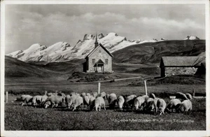 Ak Melchsee Frutt Kerns Kt. Obwalden, Kapelle, Schafe, Titliskette - 4712253 - Picture 1 of 2