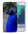 Case Cover For Google Pixel|beautiful Peacock Bird #5