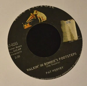 Pat Hervey RCA 8281 Walkin’ In Bonnie’s Footsteps - Picture 1 of 1