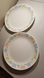 Corelle by Corning two (2) Dinner Plates in Great Condition Vintage Friendship - Imagen 1 de 2
