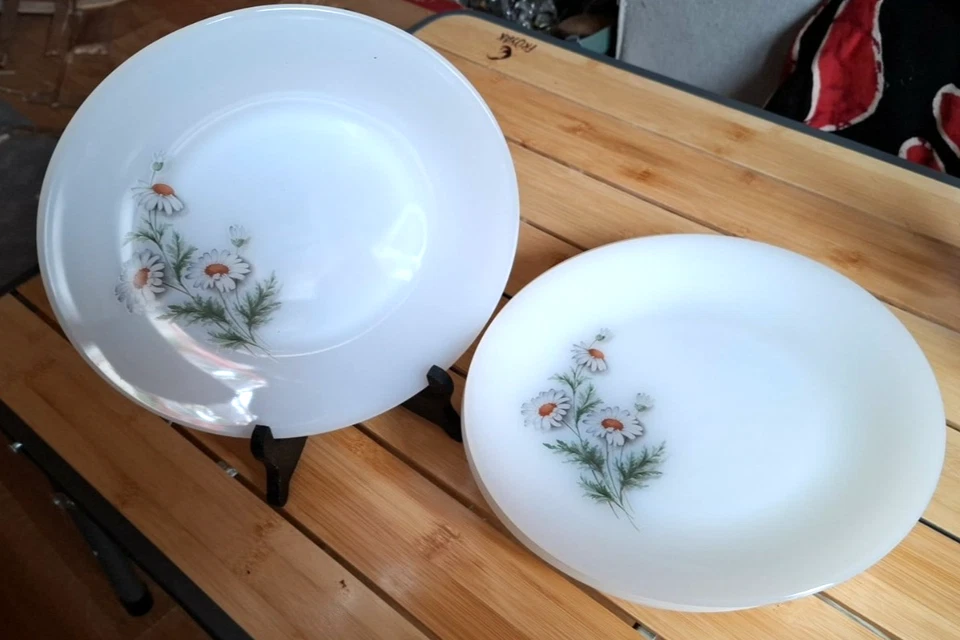 lot de 10 assiettes plates  arcopal  motif marguerites vintage années 70's - Photo 1/1