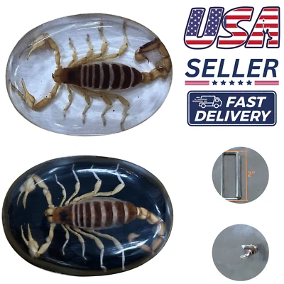 Fivela de cinto de escorpião vintage real cowboy ocidental Hebilla Hecho México feita à mão - Imagem 1 de 4