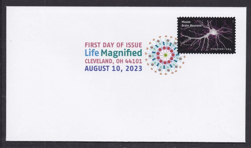 US 5802j Life Magnified Mouse Brain Neurons DCP FDC 2023 - Image 1 of 1