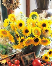 20 Cut Flower Sunflower Seeds Helianthus Annuus Garden Flowers J002