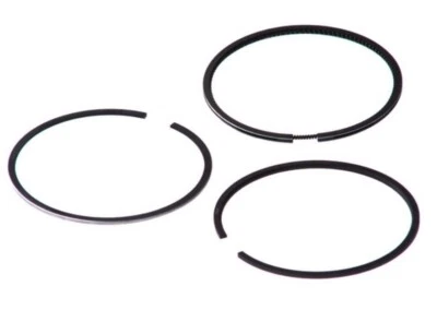 NUEVO JUEGO DE 4 ANILLOS DE PISTÓN PARA AUDI, VOLKSWAGEN, VOLVO GOETZE 0840521100 (+1.00) Foto 1 de 4