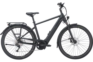 Pegasus Premio evo 10 lite 750 Wh E-Bike Elektrofahrrad RH 55cm/L - Bild 1 von 1