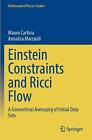 Einstein Constraints and Ricci Flow: A Geometrical Averaging of Initial Data Set