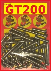 Suzuki GT200X5 - Kit Coprimotore - Inox Philips - Foto 1 di 1