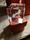 Mini Laser 3D Etched Square Crystal Art Glass Cube, Ant Beveled Corner, 