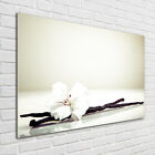 Glas-Bild Wandbilder Druck auf Glas 100x70 Deko Blumen & Pflanzen Vanillestange