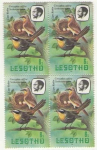 1981 Lesotho Block: Vögel (Cossypha caffra) - Bild 1 von 1