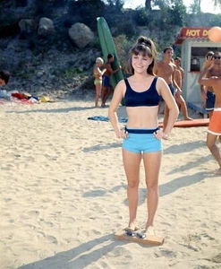 Foto brillante Gidget serie de televisión Sally Field 8x10 - Imagen 1 de 1
