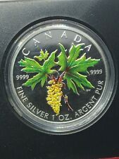 2005 Canada $5 1oz Maple Leaf Coloured Silver Coin