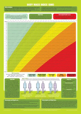 CHARTEX BMI Poster | Body Mass Index Chart | Waterproof, Hygenic Synthetic Poly-Paper