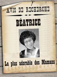 PLAQUE RUE FETE DES MERES AVIS de RECHERCHE ALU 20x27cm - Picture 1 of 1