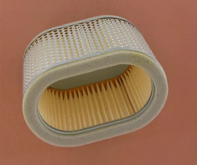 Hiflo 空气过滤器 #HFA3901 Cagiva/Suzuki Raptor 1000/V-Raptor 1000/TL1000S 982226 — 第 1/4 张图片