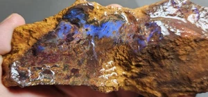 Boulder Opal Rough Specimen Blue Purple Crystal Koroit Lapidary 278 Gram 1390 Ct - Bild 1 von 14