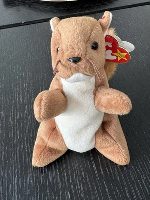 Ty Beanie Baby Nuts the Squirrel 1996 with Errors Tag (Rare Collect). Nose Detai - Image 1 of 4
