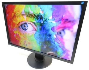 Eizo FlexScan EV2436W 24" Widescreen LCD Monitor 1920 x 1200 DP DVI VGA WUXGA - Picture 1 of 7
