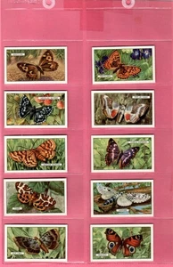 Gallaher: Butterflies and Moths 1938 Full Set 48 Cigarette Cards - Picture 1 of 10