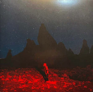 Phoebe Bridgers - Punisher (LP) - Picture 1 of 5