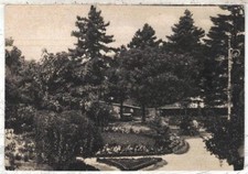 20117 - ARCEVIA (ANCONA) - PARTICOLARE DEL GIARDINO