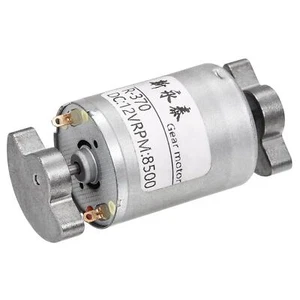 Vibrationsmotor DC 12V 6500RPM Doppelwelle Stark für DIY Zuhause Massagegerät - Bild 1 von 5