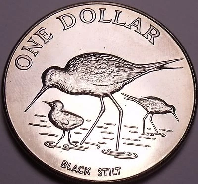 Rare Gem Unc New Zealand 1985 Dollar~60,000 Minted~Black Stilt~Excellent~Free Sh - Image 1 of 2