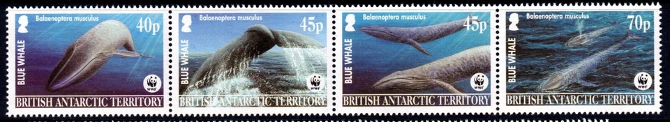 Territorio Antártico Británico 2003 Ballena Azul - WWF MNH Set Tira SC 326-329 Foto 1 de 1