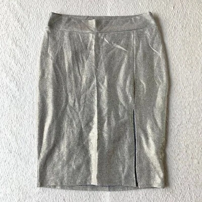 Falda Charlotte Russe para mujer falda mediana cintura elástica plateada brillante Foto 1 de 4