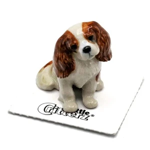 Little Critterz - Cavalier King Charles Spaniel "Rex" LC739 - Mini Animal en Caja - Imagen 1 de 7