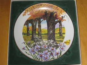 ROYAL WINDSOR WILDFLOWERS OF THE SOUTH "FROST ASTHER"  COLLECTOR'S PLATE 1981 - Picture 1 of 3
